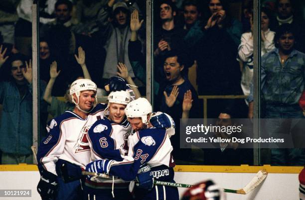 hockey team celebrating a goal - ice hockey stock pictures, royalty-free photos & images