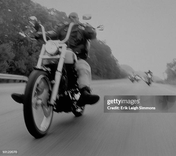 harley davidson motorcyclist - motorized vehicle riding stock pictures, royalty-free photos & images
