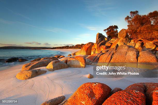 bay of fires. tasmania. australia. - bay of fires - fotografias e filmes do acervo