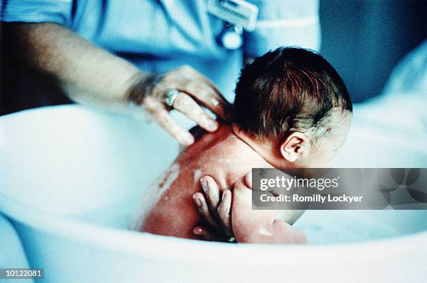 midwife bathing newborn baby in hospital - mid wife stock pictures, royalty-free photos & images