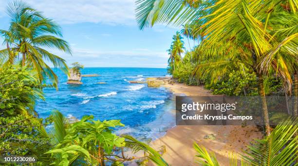 manzanillo beach scenery in south caribbean - costa rica - idyllic stock pictures, royalty-free photos & images