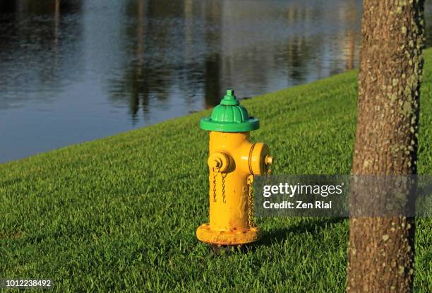 Pool Hydrant Pool Safety Cover Photos and Premium High Res Pictures - Getty Images