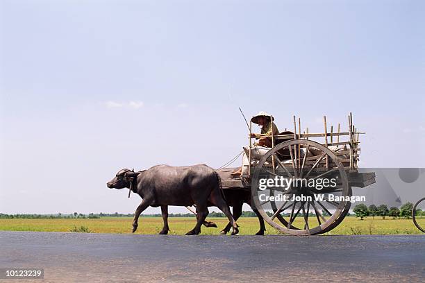 buffalo cart with farmer at tay ninh, veitnam - ox cart stock pictures, royalty-free photos & images