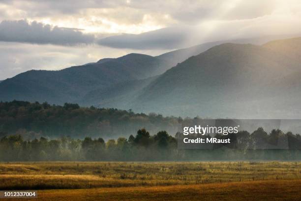 morning in cades cove - tennessee hills stock pictures, royalty-free photos & images