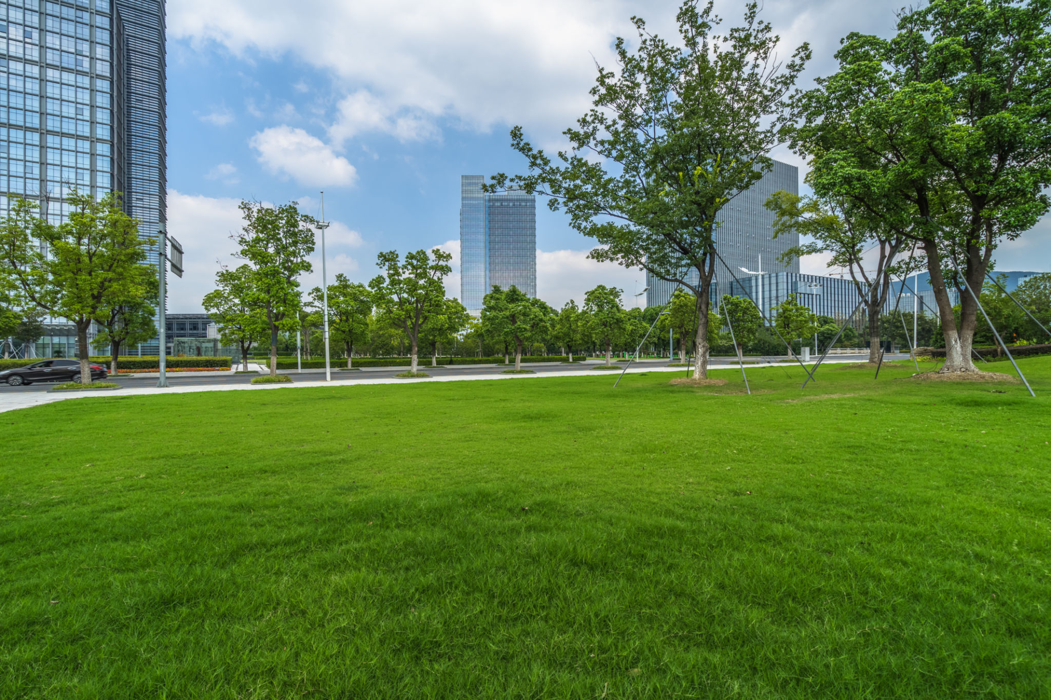 commercial lawn