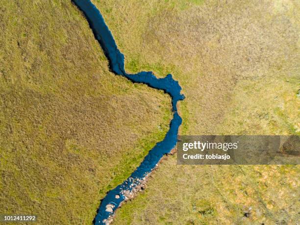 fluss durch eine grüne savannenlandschaft - drohnen stock-fotos und bilder