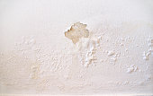 wet wall white