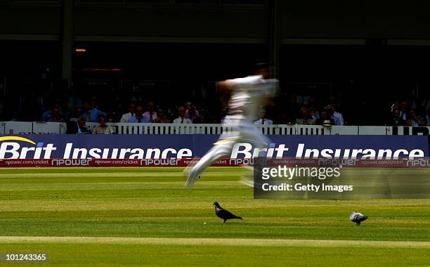 James Anderson of England in action during day 2 of the 1st npower Test between England and Bangladesh played at Lords on May 28, 2010 in London,...