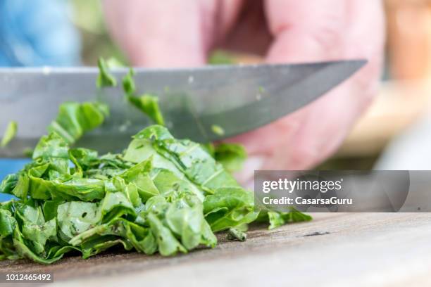 300 Chop Spinach Stock Photos, High-Res Pictures, and Images - Getty Images