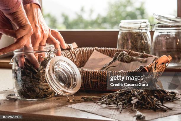 woman's hands putting sagetea leaves in a jar - tea sage stock pictures, royalty-free photos & images