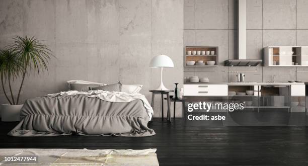 loft open bedroom with kitchen - narrow kitchen stock pictures, royalty-free photos & images