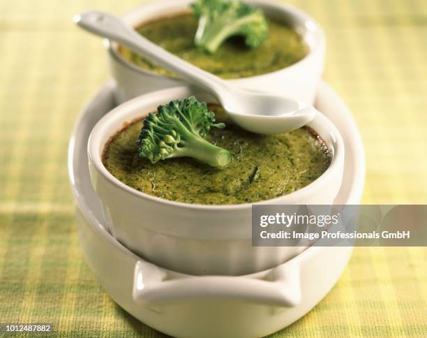 broccoli flan - pudim-de-leite imagens e fotografias de stock