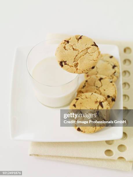 peanut and chocolate chip cookies - mani su seno fotografías e imágenes de stock