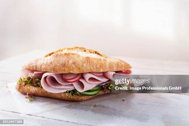 ciabatta roll with ham, radishes, cucumber and lettuce - krulandijvie stockfoto's en -beelden