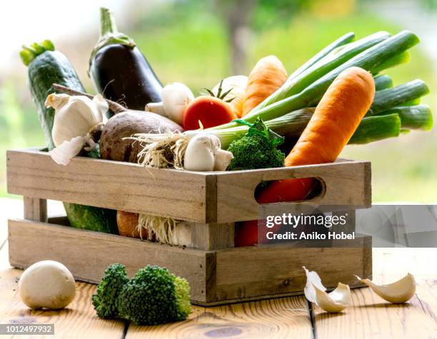 box of vegetables - caisse bois photos et images de collection