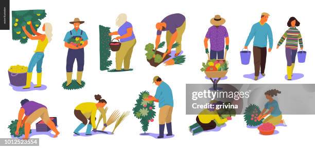 harvesting people set - fruits and vegetables isolated stock illustrations