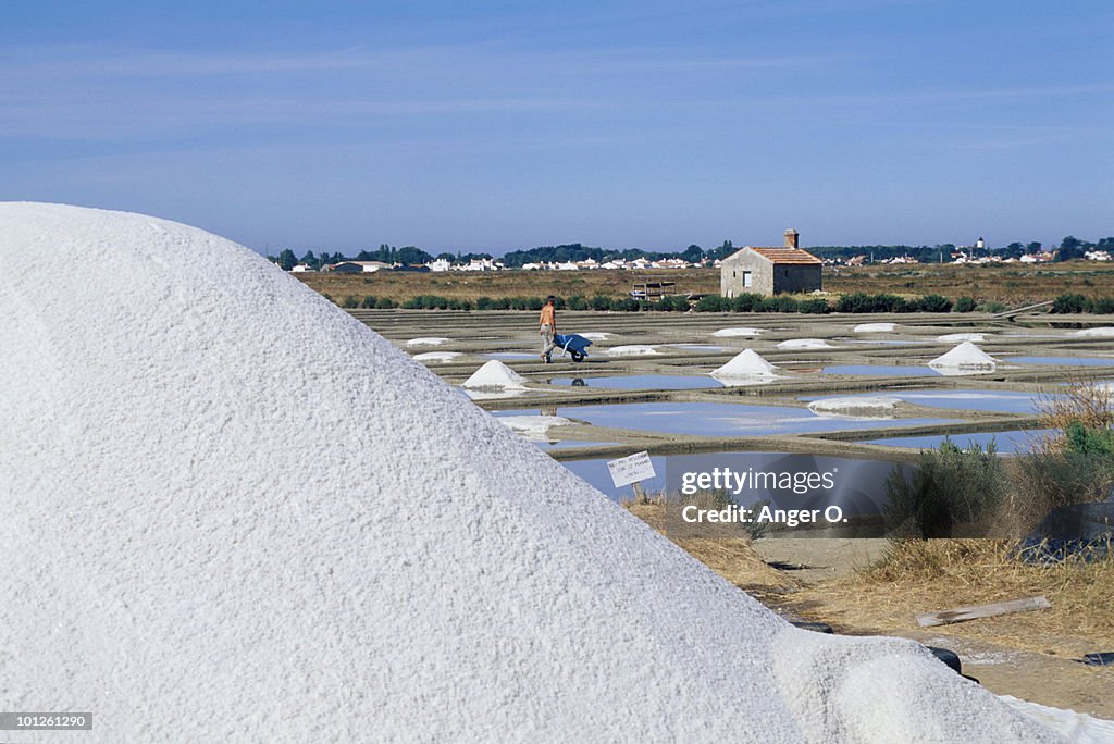Man working in salt pan, Ile de Noirmoutier, France