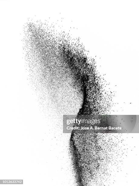 explosion by an impact of a cloud of particles of powder of color gray and black on a white background. - dust foto e immagini stock