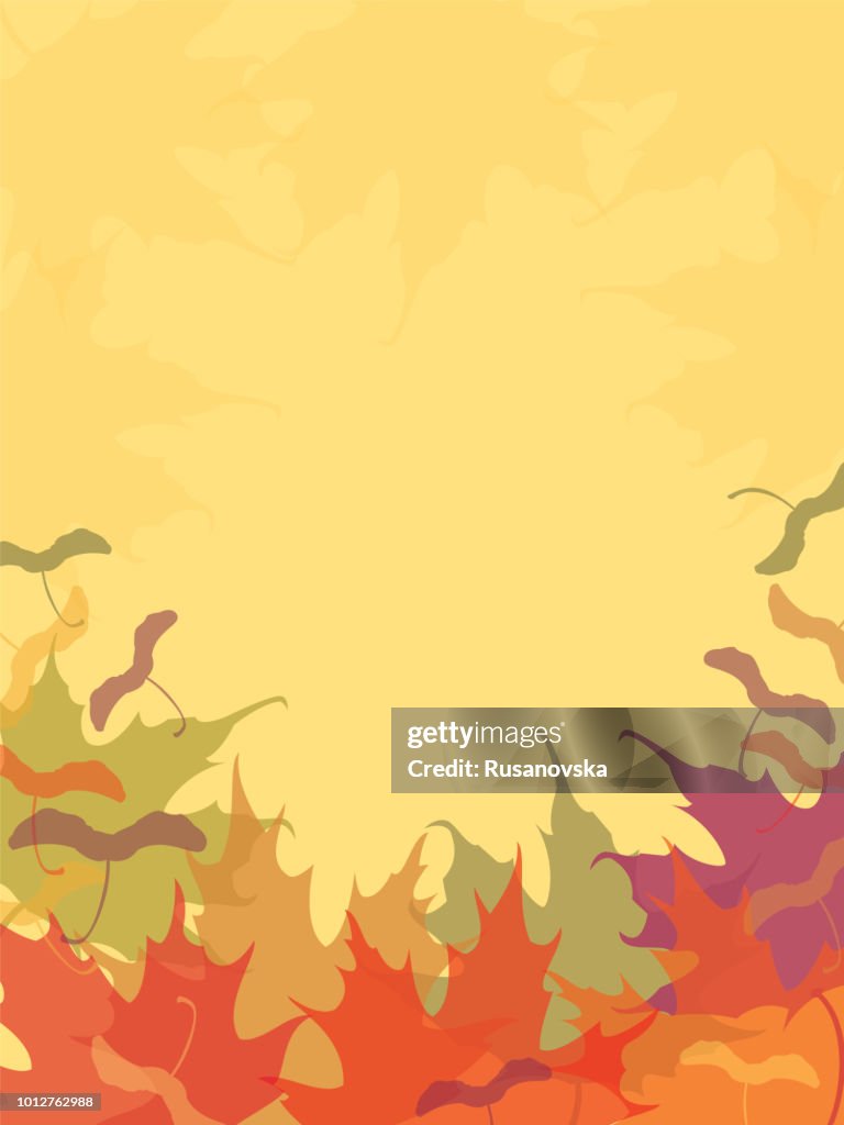 Maple Leaves Background.