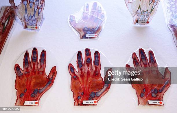 Plastinated slices of the human hand, marked with red dots to indicate that only institutions may buy them, lie on display for sale at the shop of...