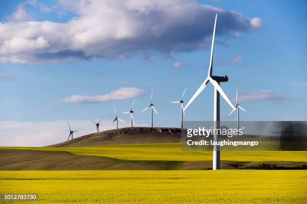 wind turbine power generation - alberta farm scene stock pictures, royalty-free photos & images