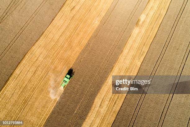 flygfoto över skördetröska skörden vete i fältet - combine harvester bildbanksfoton och bilder