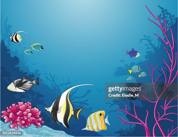 sea life / life under the sea - saltwater fish stock illustrations