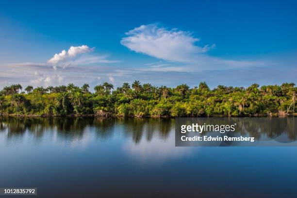 waters edge - liberia stock pictures, royalty-free photos & images