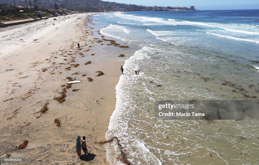 Southern California Ocean Temperatures Reach Record Highs