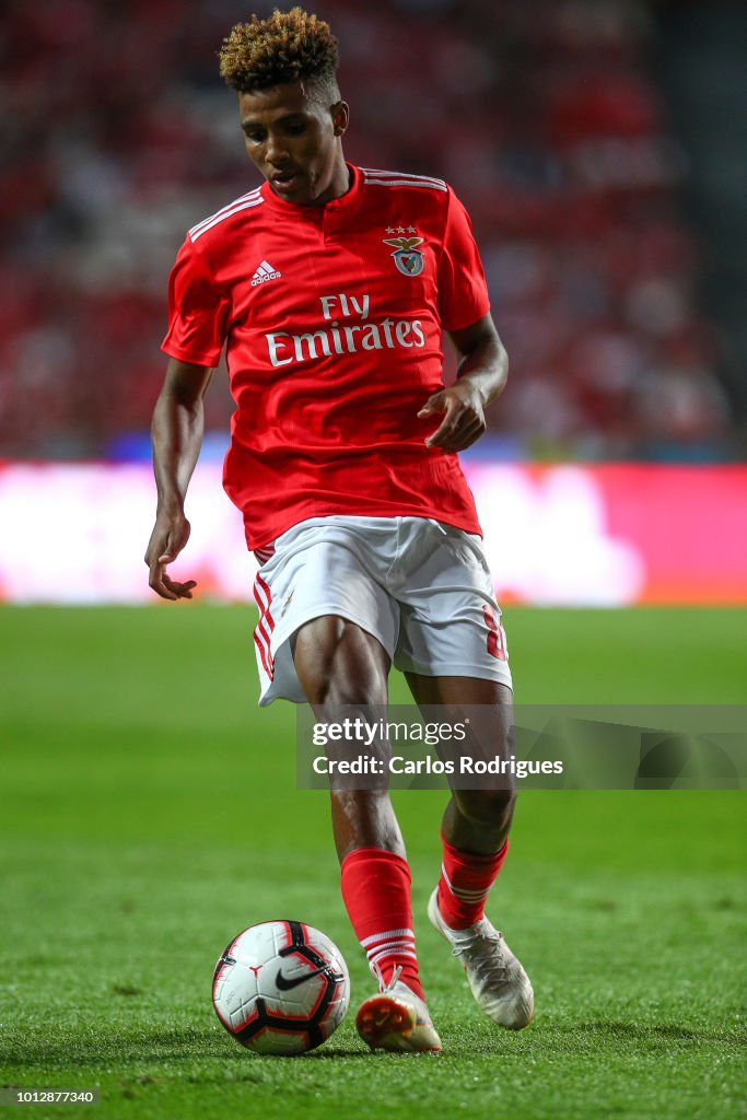 Benfica v Fenerbache - UEFA Champions League Qualifier