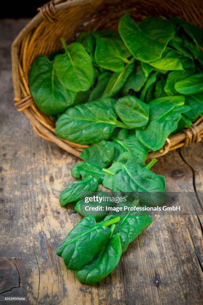 Organic baby spinach in a basket and in front of it
