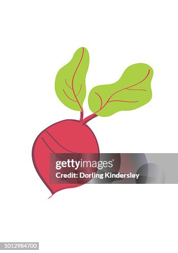 Beetroot Beetroot