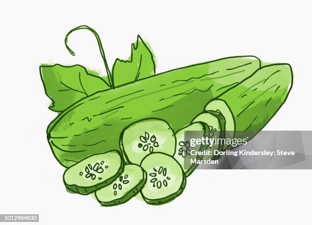 cucumber - cucumber slices white background stock illustrations