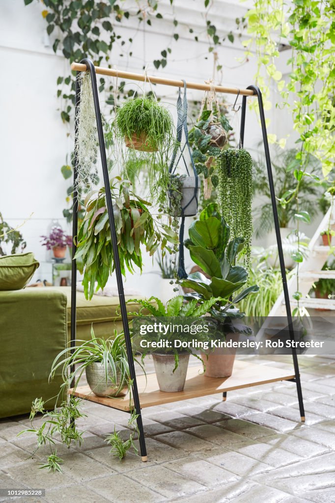 Plant room divider