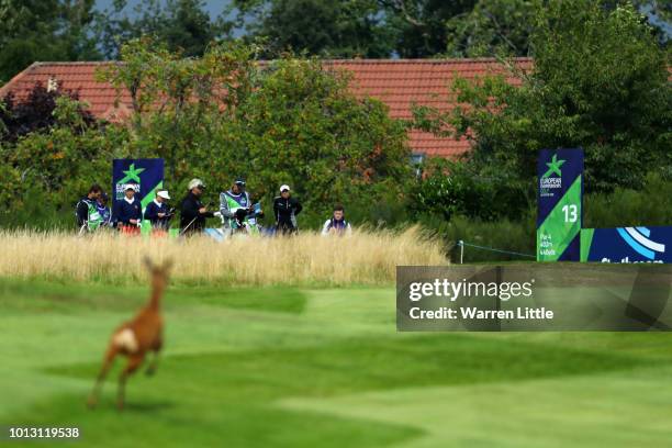 Laura Davies and Georgia Hall of Great Britain prepare to take their tee shot on hole thirteen as a deer runs on the course during match 1 of Group A...