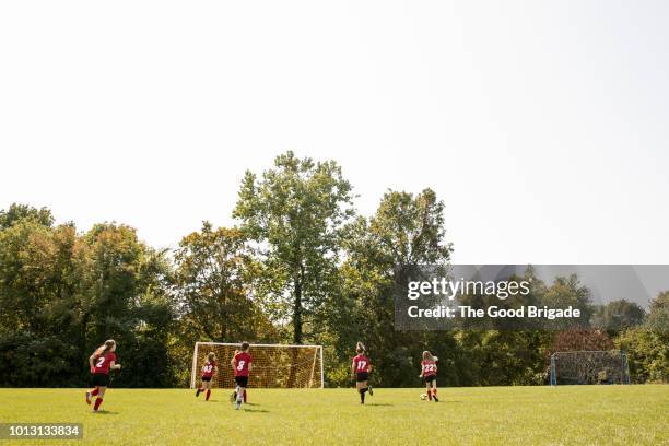 girls soccer team practicing on field on sunny day - jugendfußball stock-fotos und bilder