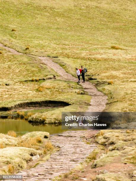 Cribyn Path 67 Cribyn (Mountain) Stock Photos, High-Res Pictures, and Images ...