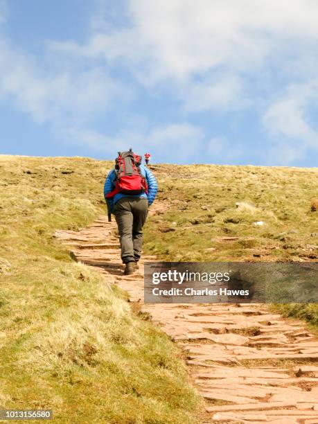 Cribyn Path 60 Cribyn (Mountain) Stock Photos, High-Res Pictures, and Images ...