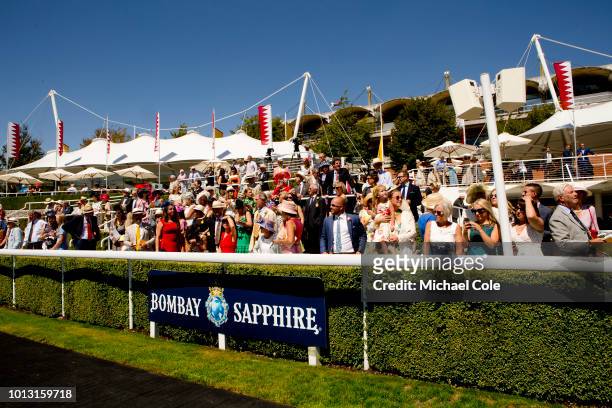 Spectators at The Parade Ring, 'Ladies Day' at "Glorious Goodwood" - The Qatar Goodwood Festival at Goodwood Racecourse on August 2, 2018 in...