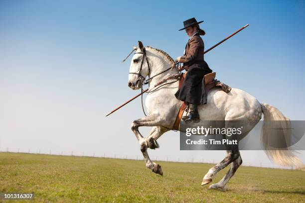 female horse rider in traditional costume. - lusitano horse stock pictures, royalty-free photos & images