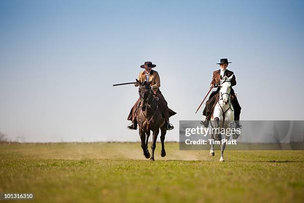 two female riders on galloping horses. - lusitano horse stock pictures, royalty-free photos & images