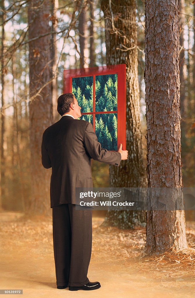 FOREST FOR THE TREES BUSINESSMAN AND WINDOW