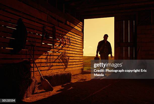 farmer in barn - morning imagens e fotografias de stock