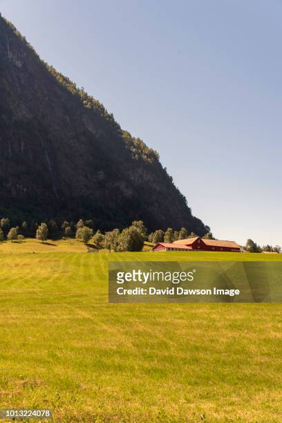 field under mountain and farm at havhellefjorden, skjolden, norway 26 06 2018 - farm norway stock pictures, royalty-free photos & images