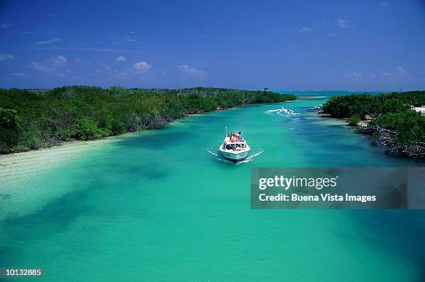 mexico, cancun, emerald waters - cancun 個照片及圖片檔