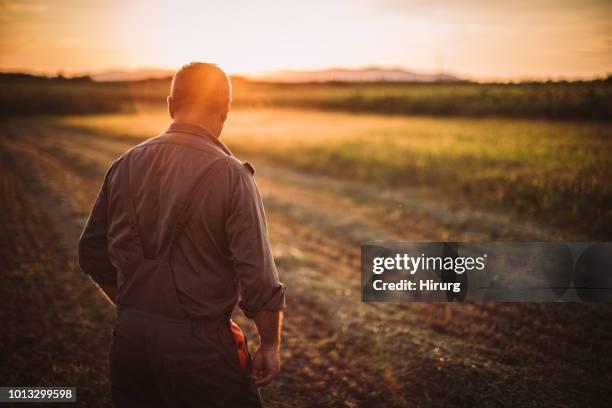 farmer in field - farmer silhouette stock pictures, royalty-free photos & images