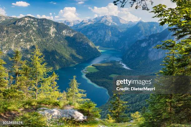 arrial uitzicht op lake königssee in nationalpark berchtesgaden - wilderness area stockfoto's en -beelden