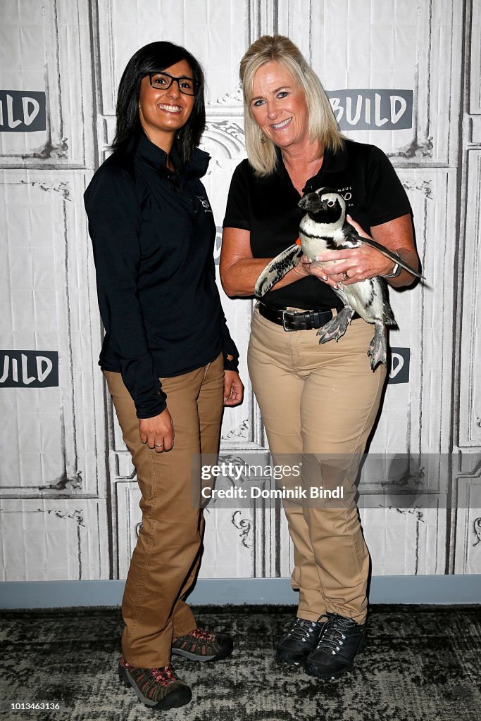 Celebrities Visit Build - August 8, 2018