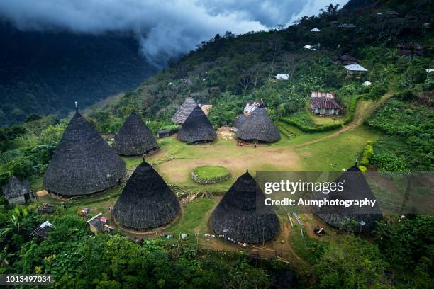 wae rebo village, indonesia. - flores stock-fotos und bilder