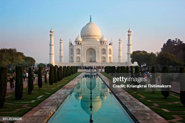 taj mahal in the morning. - reflection water india stock pictures, royalty-free photos & images